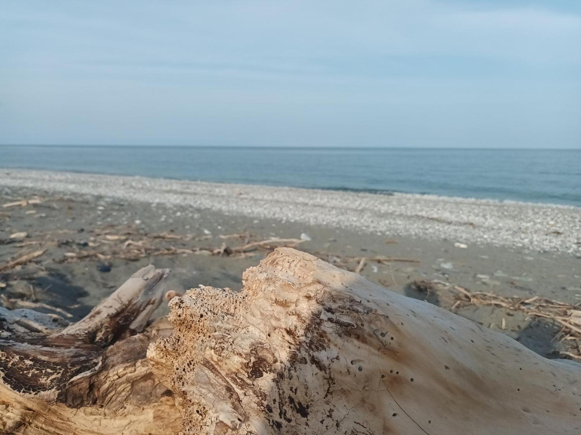 Velika Beach Rooms Kültér fotó
